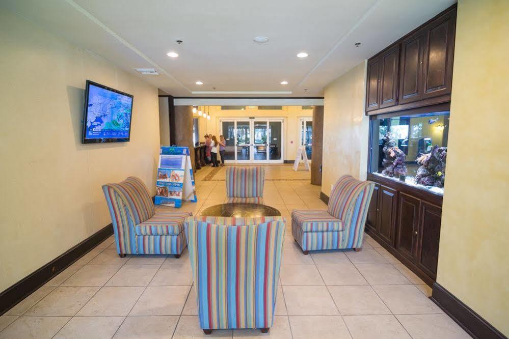 Shores Of Panama By Book That Condo Panama City Beach Esterno foto